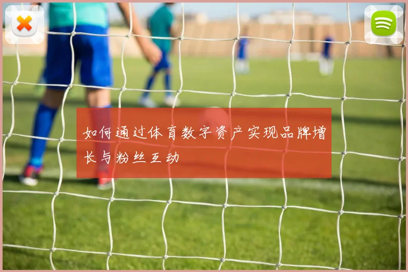 如何通过体育数字资产实现品牌增长与粉丝互动