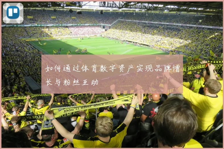 如何通过体育数字资产实现品牌增长与粉丝互动