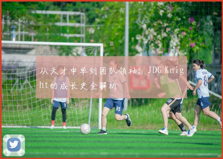从天才中单到团队领袖：JDG Knight的成长史全解析